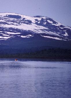 Yraf-m.jpg (15427 bytes)