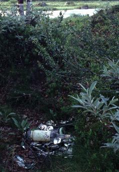 Fu990914-31m.jpg (23130 bytes)
