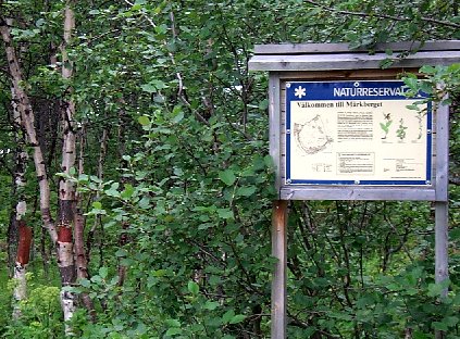 P0003253m.jpg (66572 bytes)