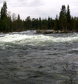 P0002322m.jpg (41314 bytes)